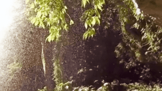 Crystal Shower Falls 360 Video Crystal Shower Falls 360 Video